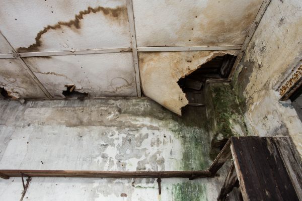 Cost of Water Damage Service in Tempe