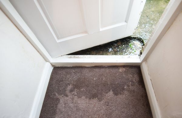 Cost of Wet Carpet Restoration in Tempe