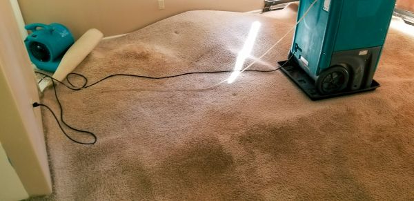 Cost of Flood Damage Cleanup in Tempe