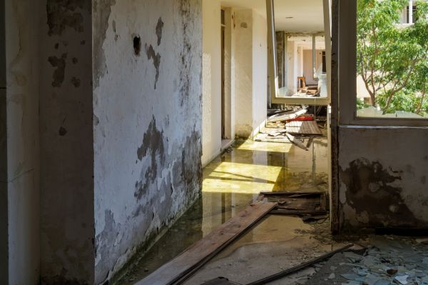 Cost of Water Removal Service in Tempe