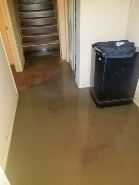 Cost of Emergency Water Removal in Tempe