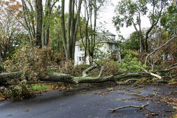 Cost of Tornado Damage Repair in Tempe