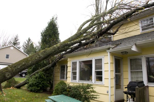 Cost of Hurricane Damage Repair in Tempe