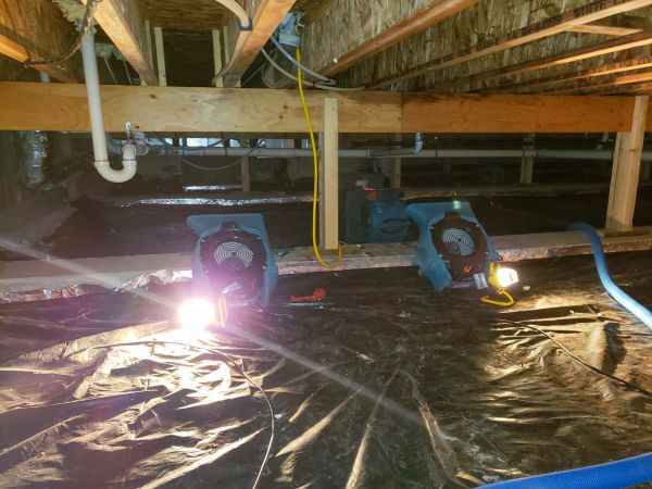 Cost of Crawlspace Water Removal in Tempe