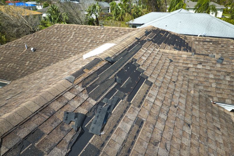 Damaged Roofs